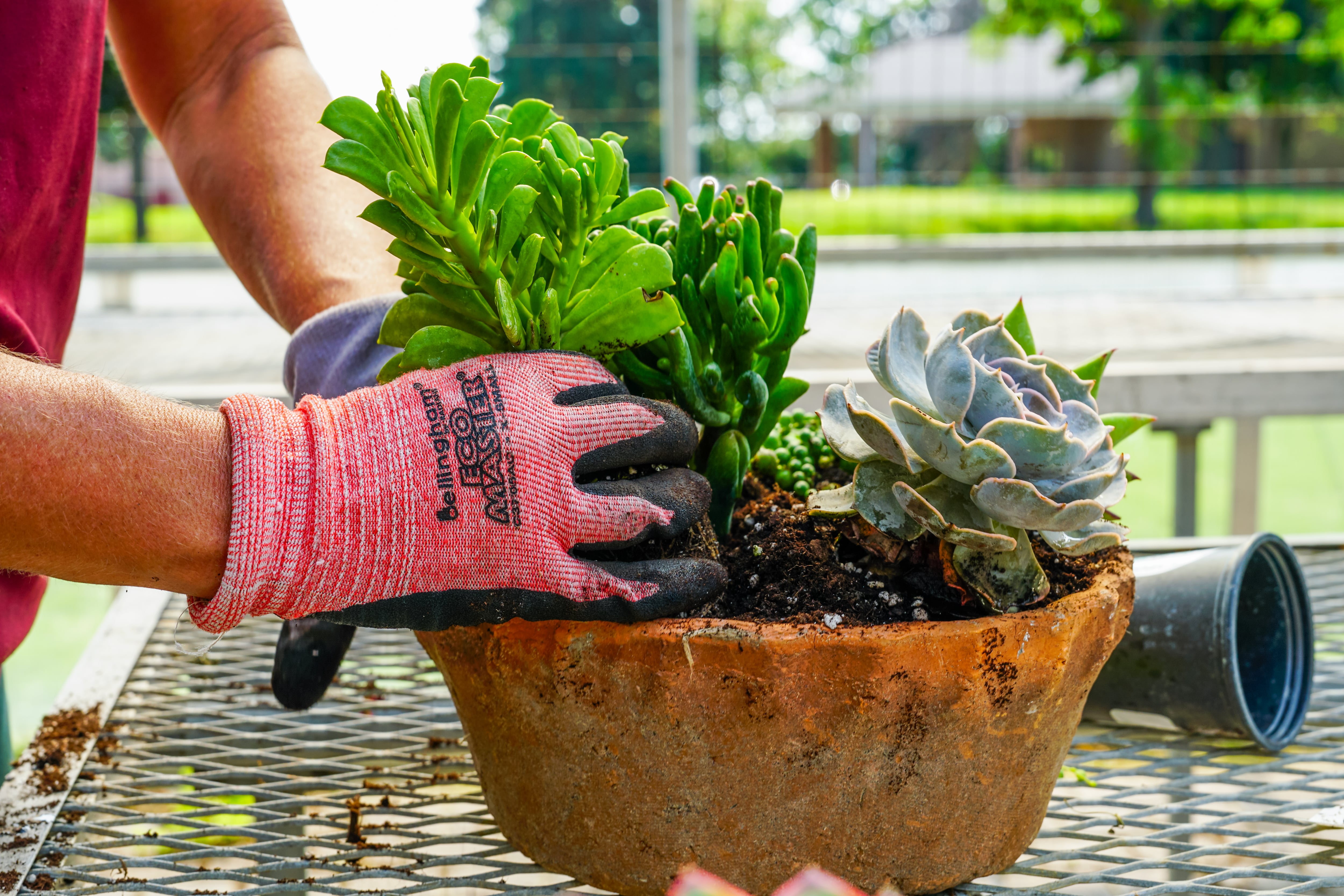 Heinz Brothers Greenhouse, Aquascape Construction ponds win ‘Made in St. Charles’ awards — La Grange Government news